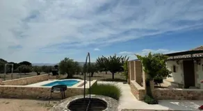 Casita rural entre olivos - Image 4