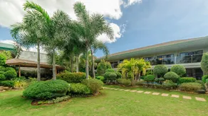 Alona Golden Palm - Image 5