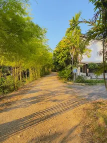 บ้านสวนภูรจิตร Baansuanphurajit - Image 2