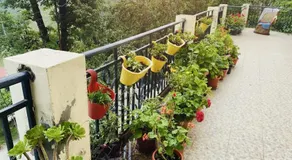 Serenity Escape - A Pet Friendly Himalayan Stay - Image 5