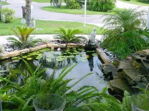 TROPICAL PARADISE BED AND BREAKFAST - Image 4