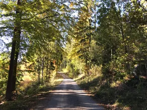 Naturskön stuga med närhet till sjö - Image 5