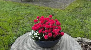 Wohnen am Reiterhof, 50 qm, mit Gartennutzung - Image 5