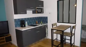 Appartement tout équipé avec piscine proche Stade OL et EUREXPO - Image 3