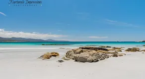 Whispering Waves - Image 5