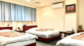 Green Hill Hotel Tennoji Ekimae - Image 2
