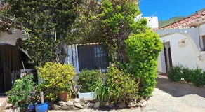 Casita Tomate - Image 3