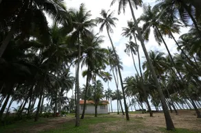 GB Beach house - Image 4