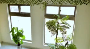 Intellectual Inn - Spring North Ph7 Bahria Town - Image 5
