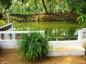 Backwater Heritage Homestay - Image 4