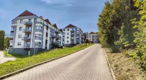 LOTOS - Image 4