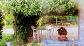 5 Palme - Image 3