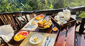 Chill Wood Resort - Image 2