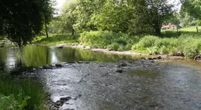 Kings Farm - Image 5