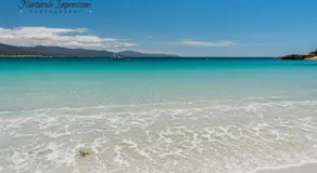 Whispering Waves - Image 3