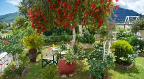 Ntina's house - Image 2