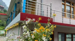 WildFlower - Image 5