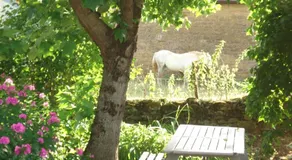 La part des anges - Image 5