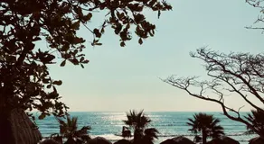 Pelicanos  - Image 4