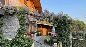 Al cervo tra i laghi - Image 3