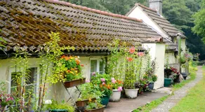 Ladywood House Bed and Breakfast - Image 5
