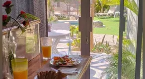 Tropical Oasis - Image 3