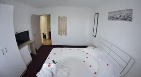 APARTAMENT RAZVAN HOLIDAY COSTINESTI - Image 3