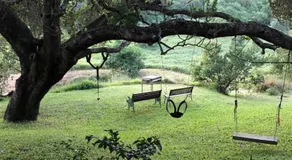 Nkumbe Bush Retreat Family Home - Image 4