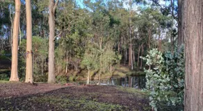 Curra Cottage - Image 5
