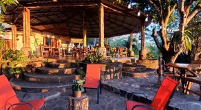 The Jungle Lodge - Image 3