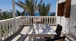 Palmhouses - Image 4