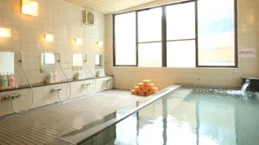 Gokase Onsen Mori no Yado Kijiya - Image 3