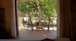 Sleeping Trees - Image 5