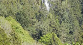 LES EGLETYERES - Image 5