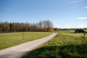 Ferienwohnungen Gut Mischenried - Image 4