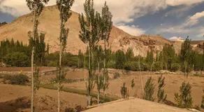 Basgo Eco Homestay - Image 4