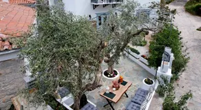 Olivo Luxury Apartment - Image 5