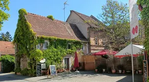 Weingut Weinstube Weinhotel Wolf - Image 5