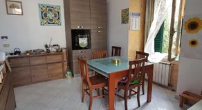 la gatta bianca - Image 4