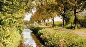 B&B Chili Hoeve - Image 4