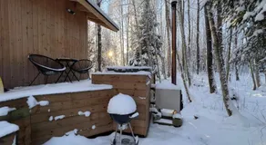 Paunküla Nature Resort (forest villa) - Image 5