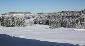 Ferienwohnung Nagelfluh Allgäu - Image 4