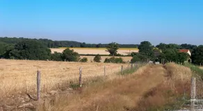 Gîte et camping à la ferme avec espace détente - Profitez de la campagne du Berry - Image 5