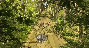 Das wilde Auwaldhaus - Image 5