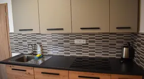 PENZION a FARMA NA BORŮVKOVÉM VRŠKU - Image 3