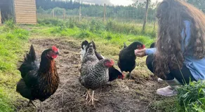 Welcome to La Petite Ferme & Family - Image 5