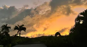 Jamaica Colors Hotel and Eco-Retreat - Image 3
