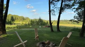 Glampingtelt telt i naturens hjerte - Image 4