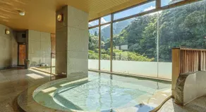 Arima Onsen Gekkoen Korokan - Image 5
