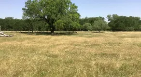 Constantino Farms - Image 5